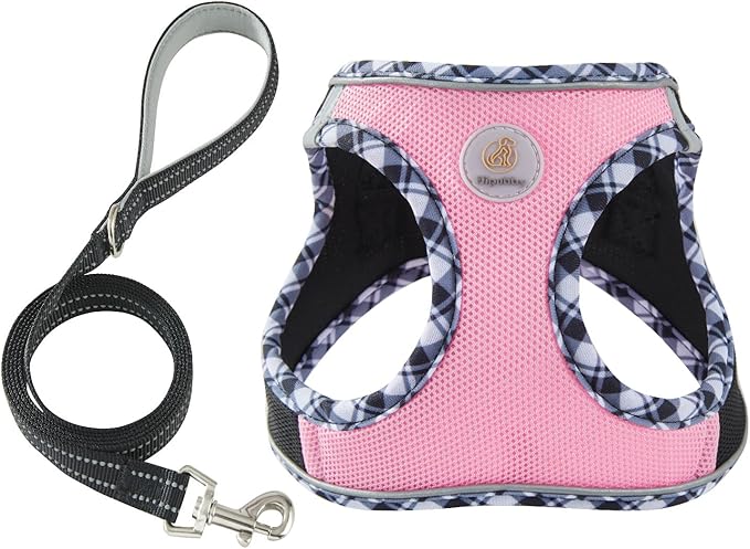Hipubby Dog Harness Small Sized and Leash Set, No Pull Soft Mesh Puppy Vest, Reflective Breathable Lightweight Pet Harnes...
