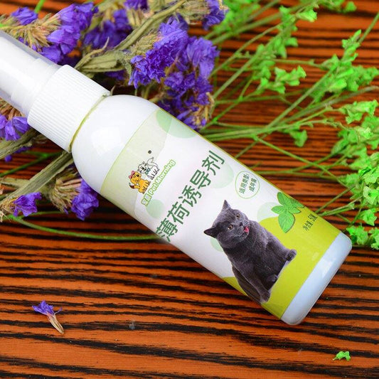 Pet Supplies Cat Scratch Board Cat Teaser Toy Mint Spray Inducer