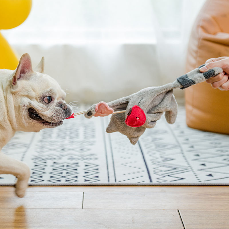 Dog Plush Self Relieving Teddy Bear Toy Grinding Teeth Interactive Solitude Hiding Food Toy Small Dogs Supplies Accessories