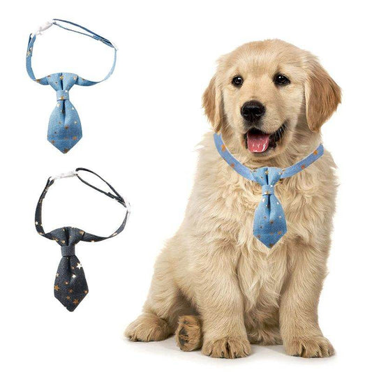 Designer Dog Collar For Small Medium Dogs Long Tie Golden Star Fancy Neck Wear Adjustable Animal Decoration Pet Cat Accessories