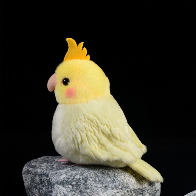 Plush Toys For Both Men And Women