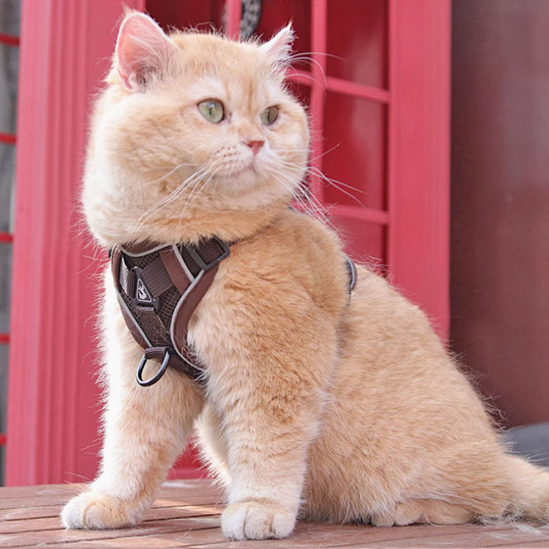 New Cat Harness Vest Pet Chest Strap With Leash