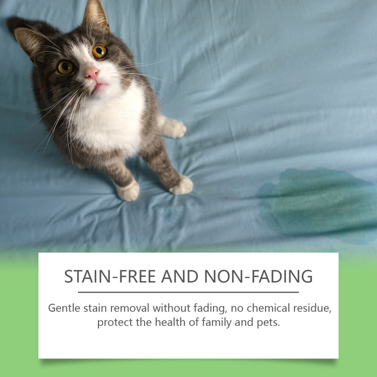 Pet Mucus And Saliva Cleaner Pet Stain Remover