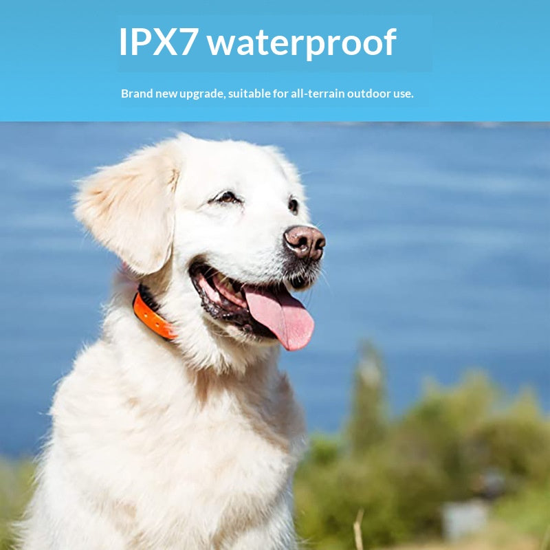 Field-tested 1km Remote For Pet Dogs