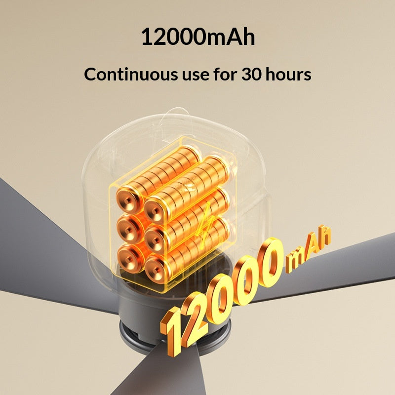 Wireless Small Ceiling Fan With USB Charging