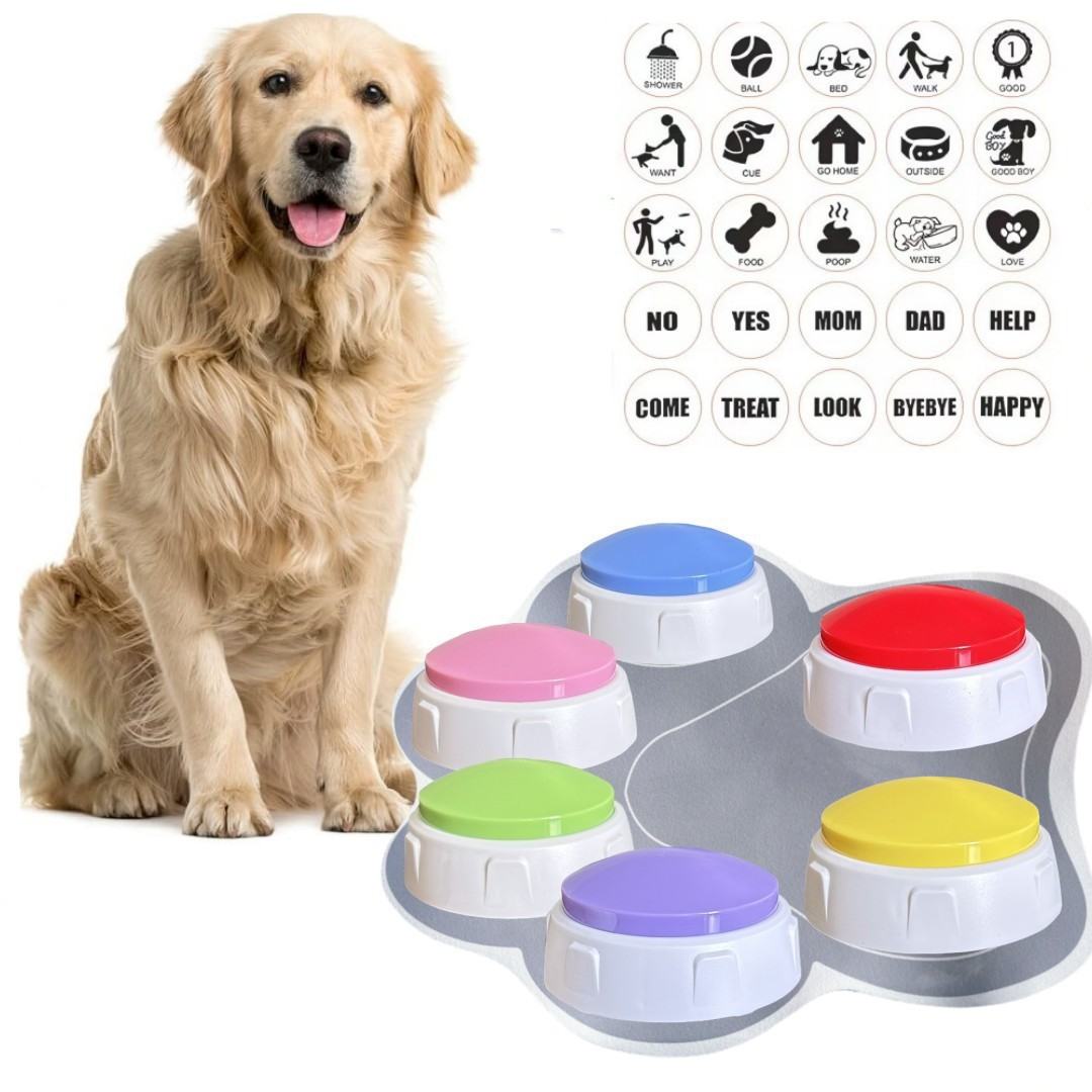 Home-use Rechargeable Pet Toy Button Trainer