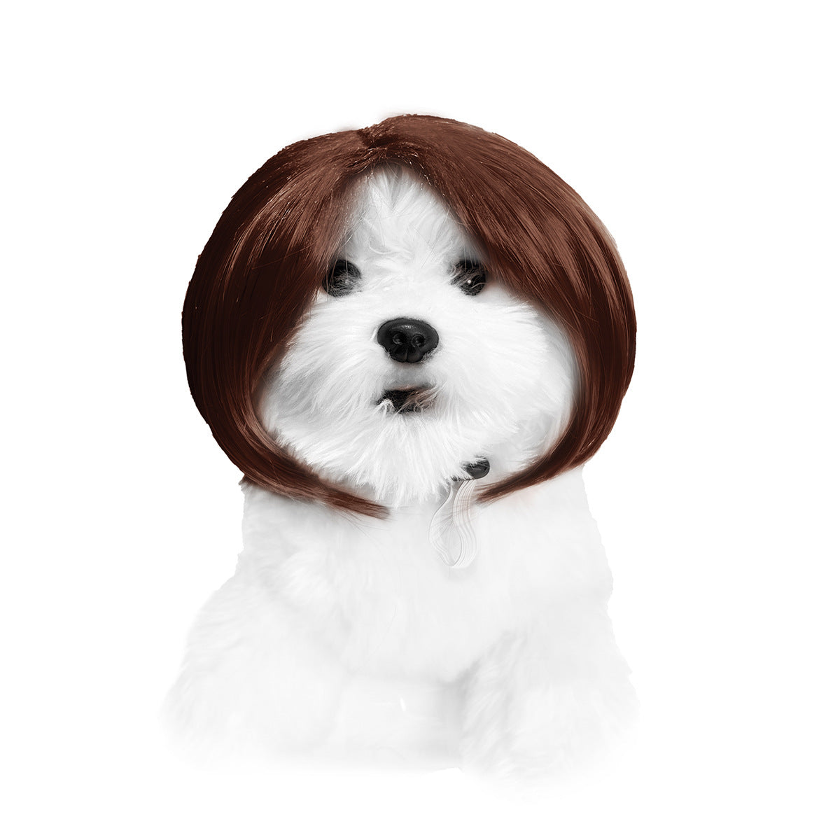 Halloween Pet Wig For Curly Or Straight Hair