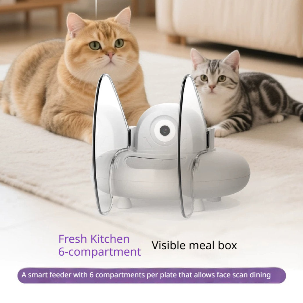 Smart Cat Feeder AI Facial Recognition Multi Cats Video Camera Gen Works For EU, US, UK, And AU