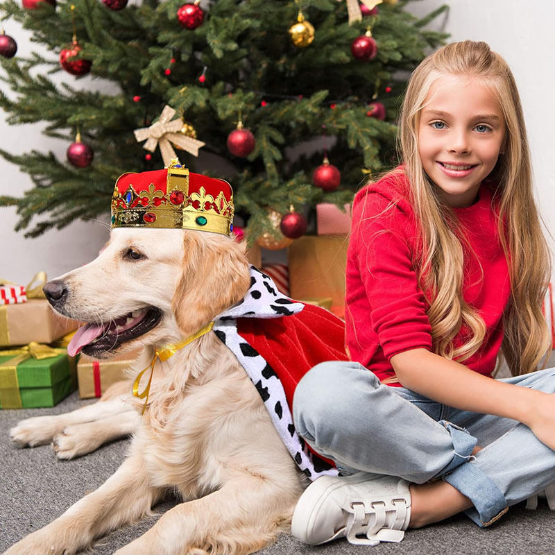 Pet Cloak And Crown King Role-Play Costume Set