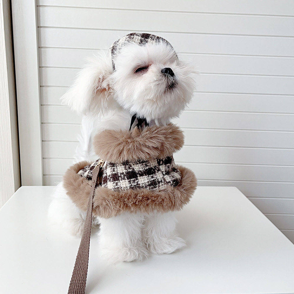 Pet Cape Leash Cat And Dog Clothing