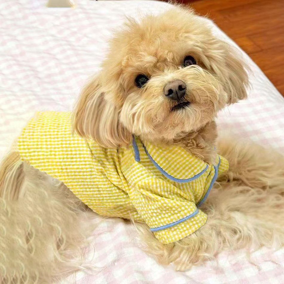 Spring And Summer Clothing For Pet Cats And Dogs