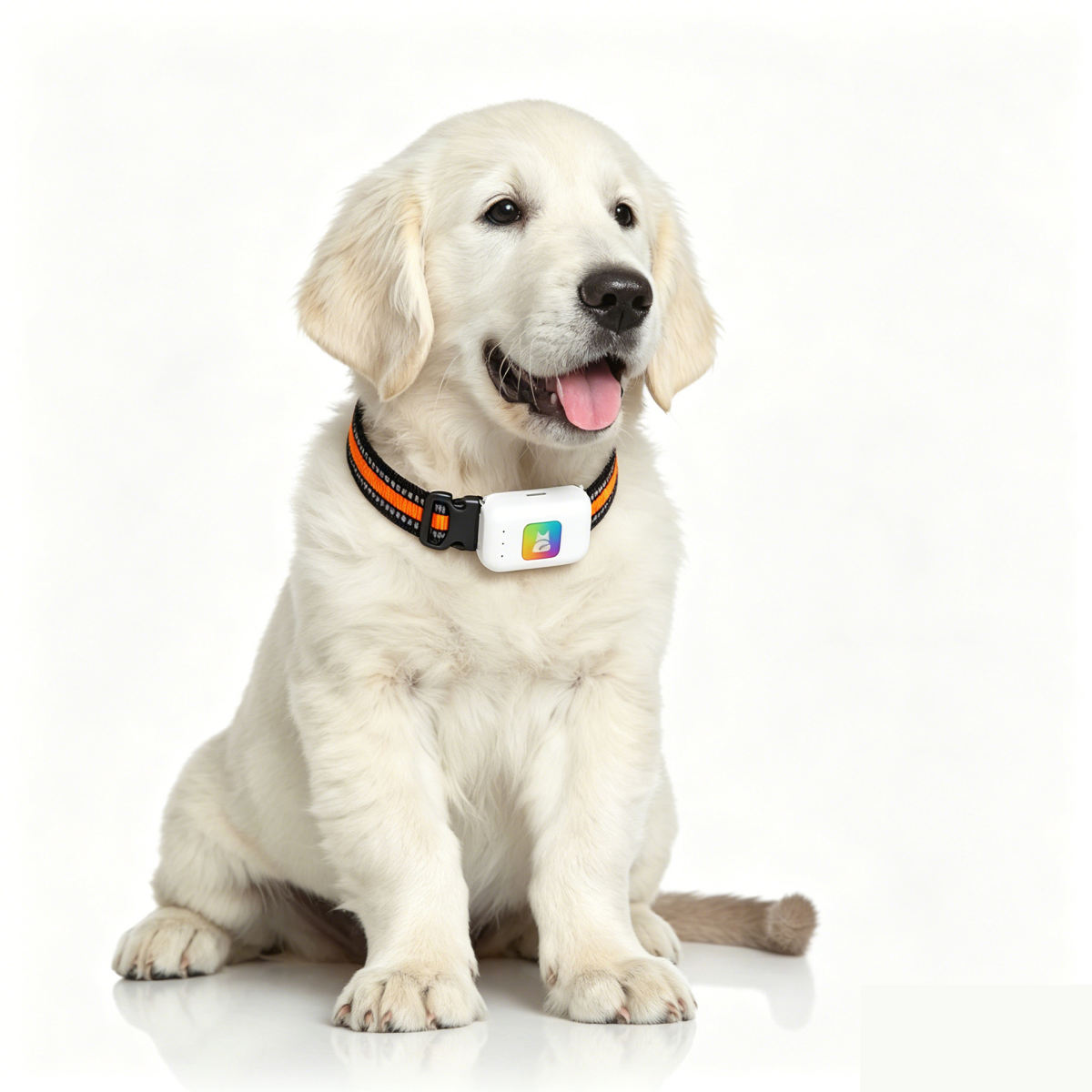 Smart GPS Pet Collar Tracker Locator With Health And Activity Monitoring For Cats Dogs With Invisible Fence Notification Out Of Area