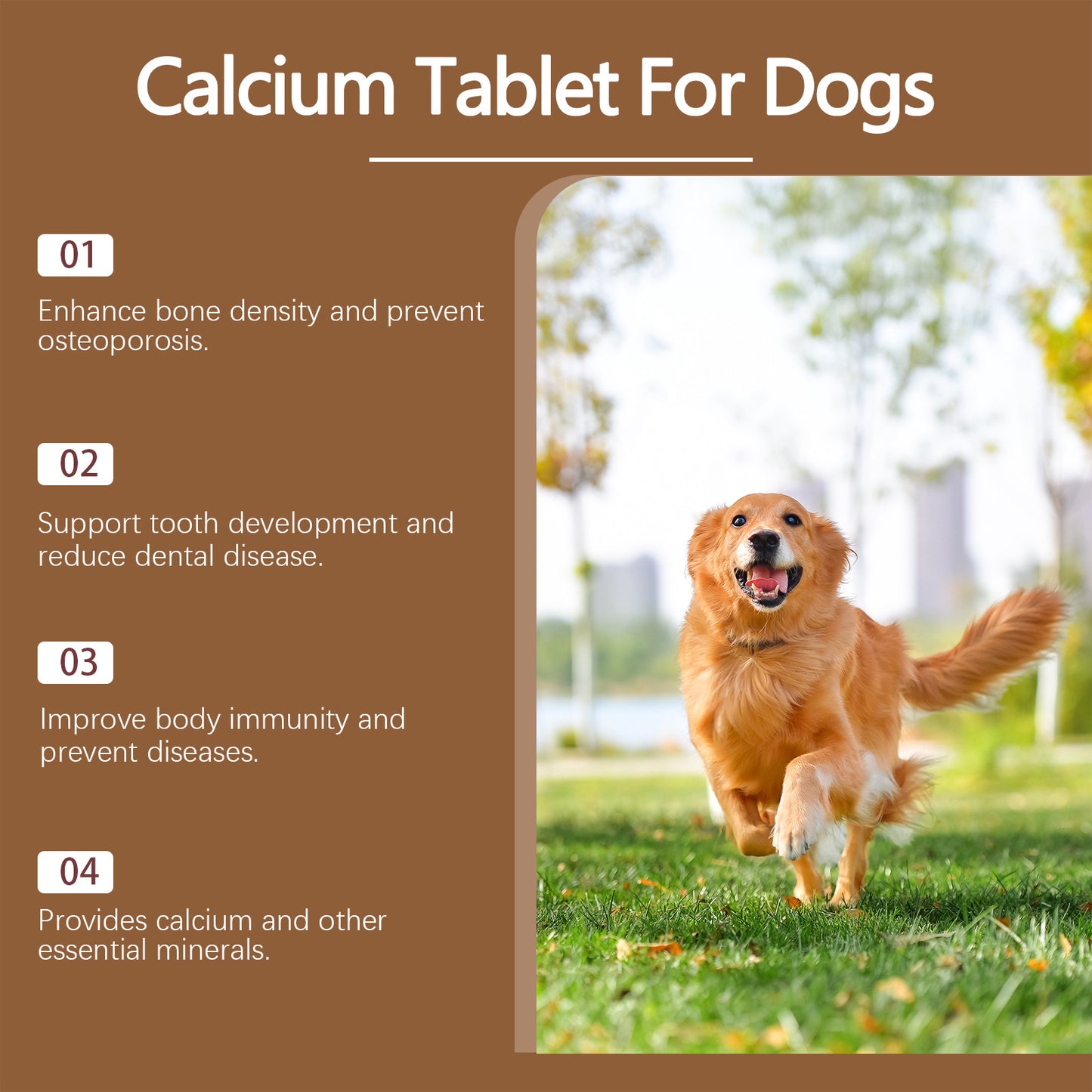 Pet Vitamin Supplement For A Healthy Nutritious Dietcalcium Tablets