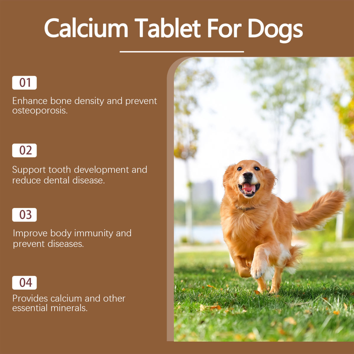 Pet Vitamin Supplement For A Healthy Nutritious Dietcalcium Tablets