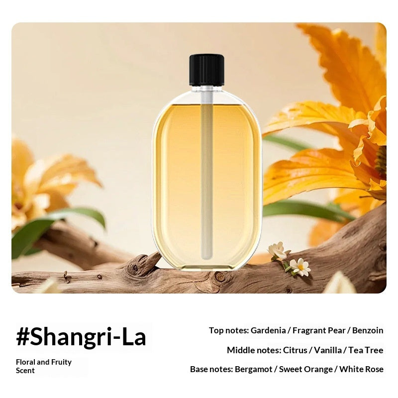 Smart Aroma Diffuser Automatic Fragrance Dispenser Waterless Mist Sprayer