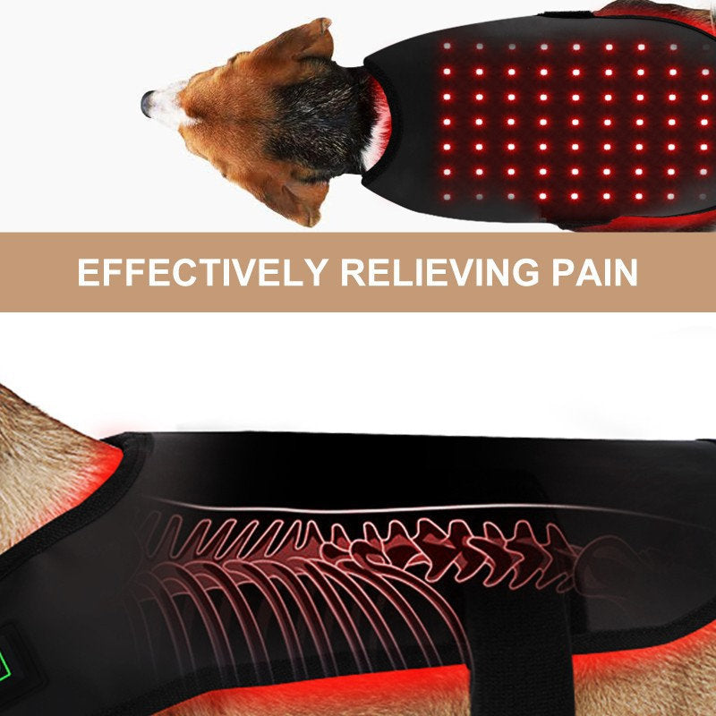 Pet Red Light Infrared Therapy Device