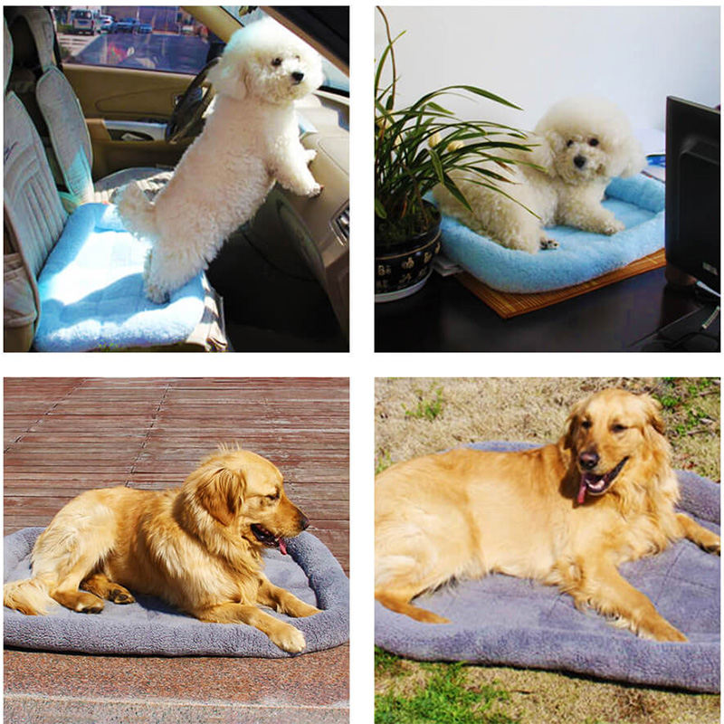 Pet Bed Puppy Dog Cat Sleeping Bed Mat Winter Soft Plush Pad Washable XLarge