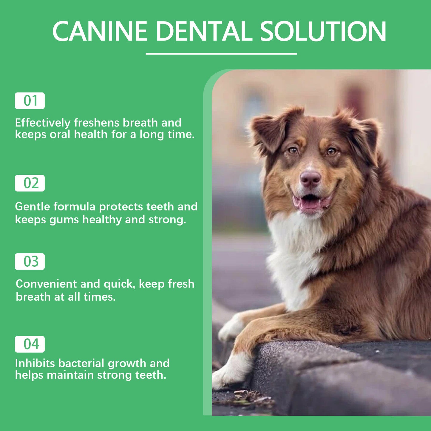 YEGBONG Pet Oral Care Water For Dogs
