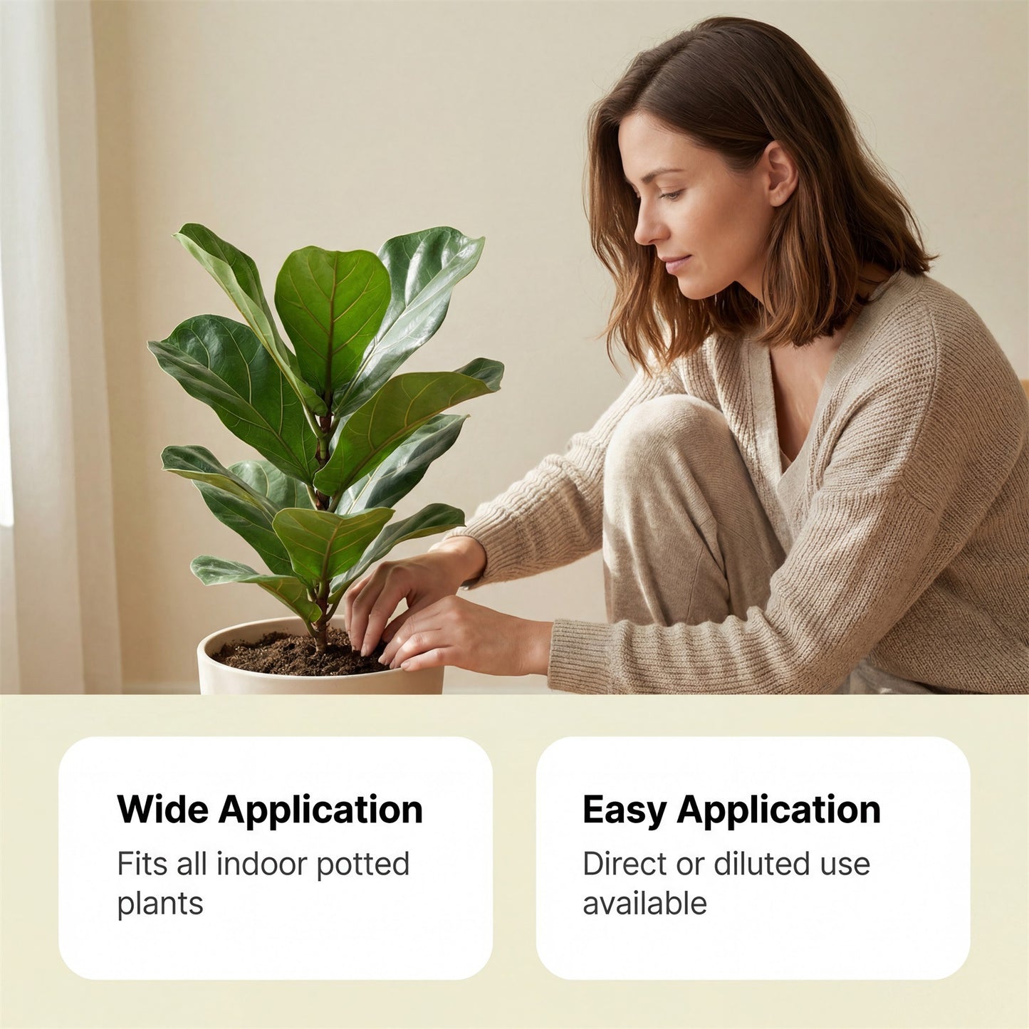 Indoor Plant Food