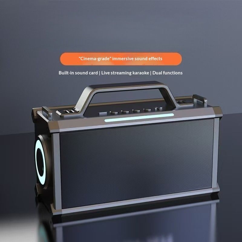 Outdoor Bluetooth Karaoke All-in-one Speaker