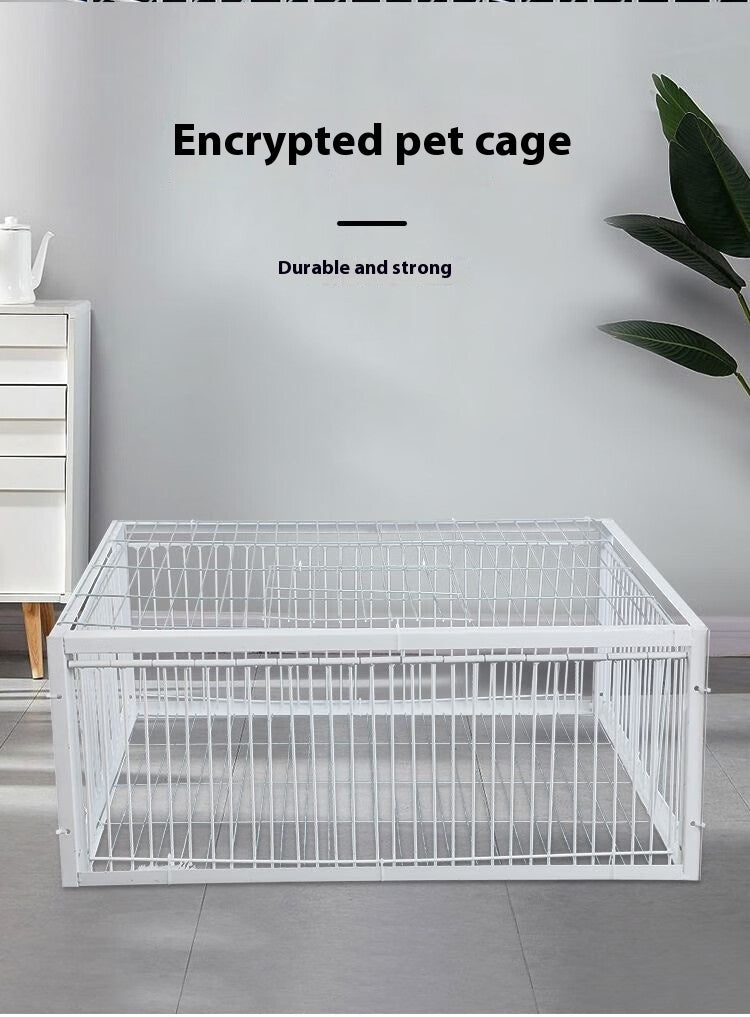 Pigeon Active Network Door Encrypted Return Cage