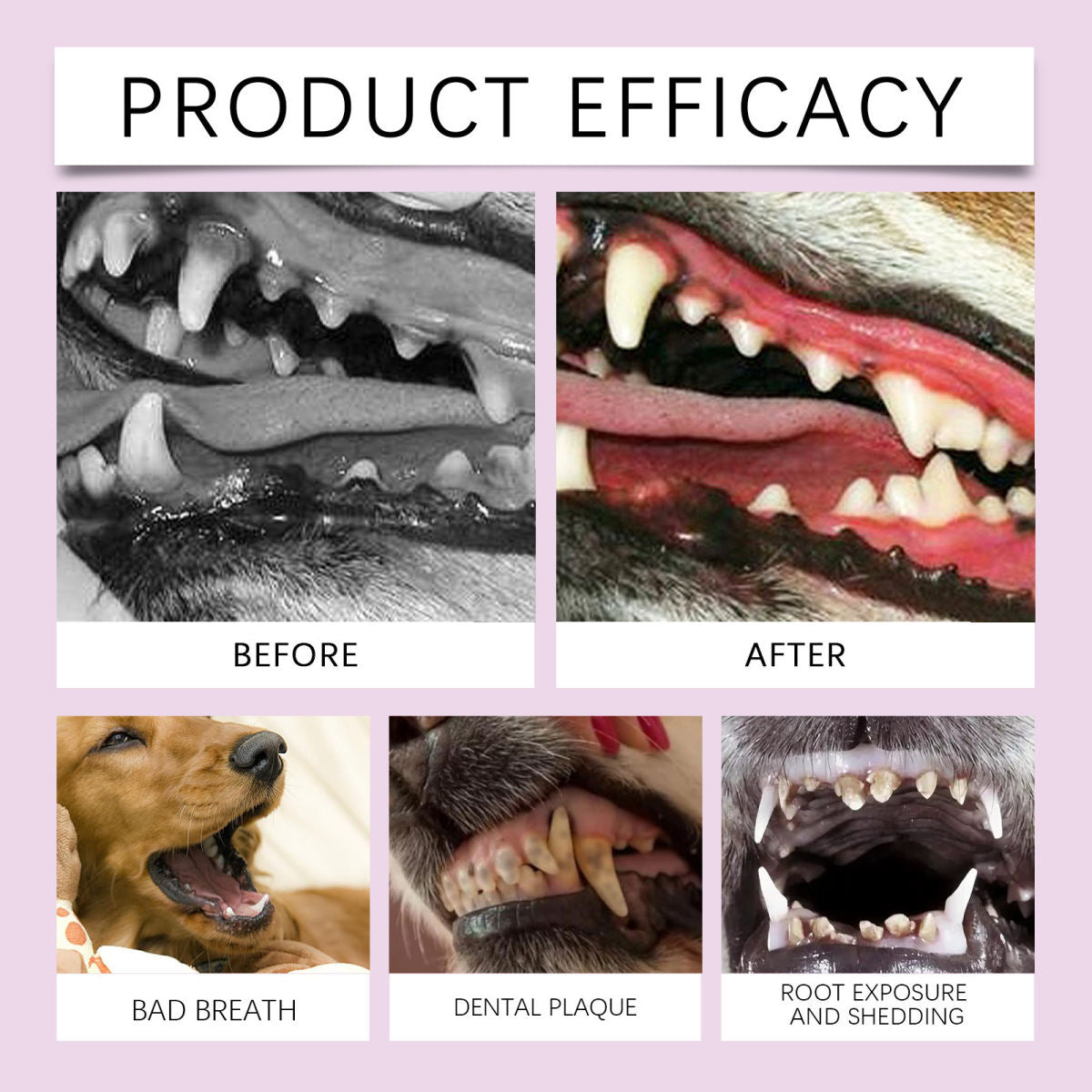 Pet Dental Oral Care Spray - Fresh Breath Teeth Cleaning Solution for Dogs and Cats