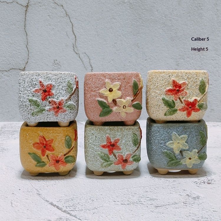 Thumb Basin Korean-Style Succulent Planter