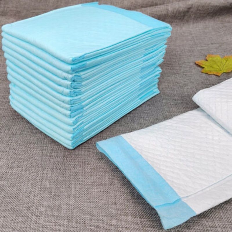 Pet Training Pads Puppy Toilet Potty Mat Indoor Dog Cat Pad 60X60cm Absorbent 46X30X27