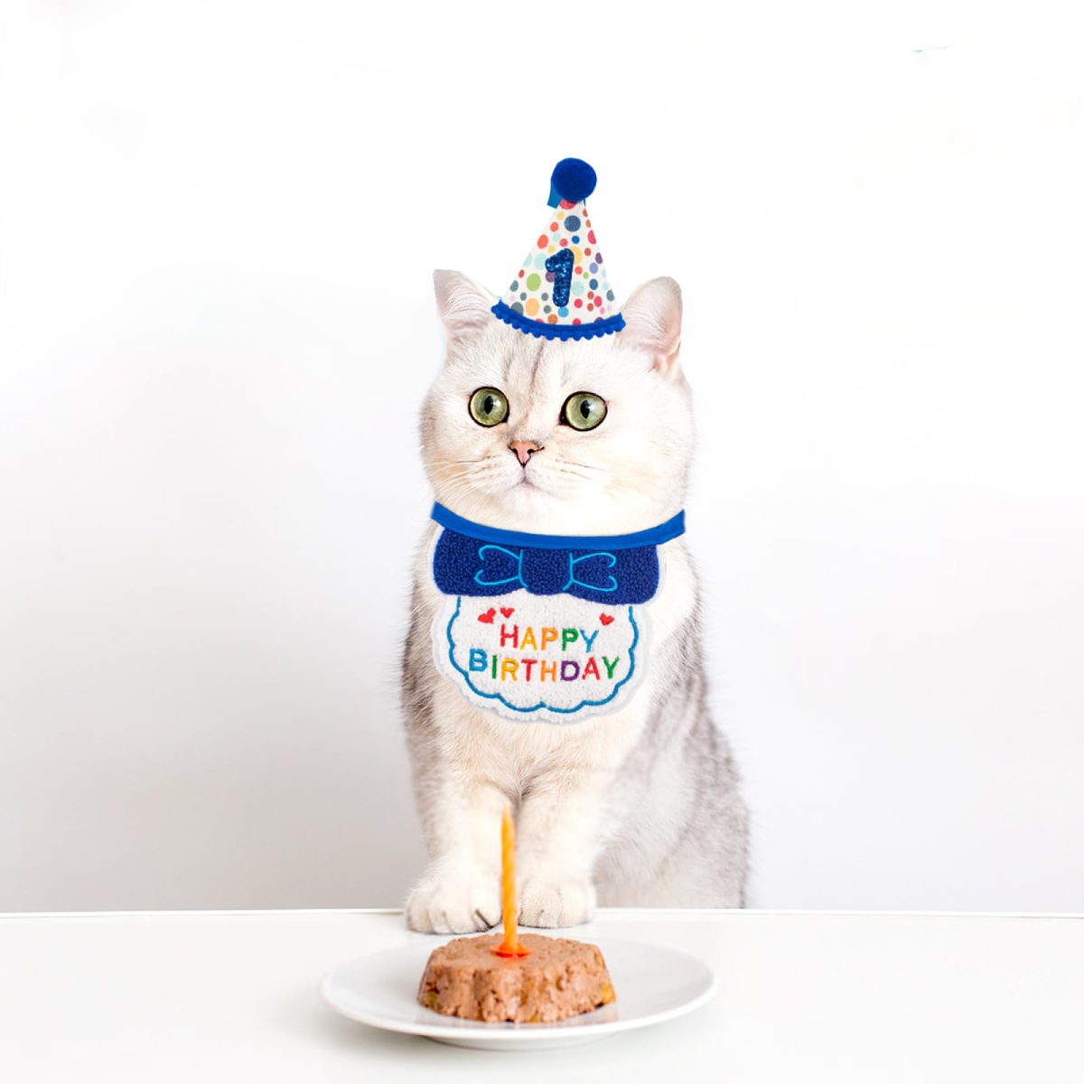 Cat Birthday Party Supplies, Blue Cat Kitten Birthday Bandana With Number Hat, Cat Birthday Decorations Banner Boy, Pet Birthday Outfits For Cats Kitten Apparel Decorations