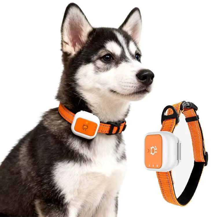 4G GPS Pet Collar Cats And Dogs Realtime GPS Tracking