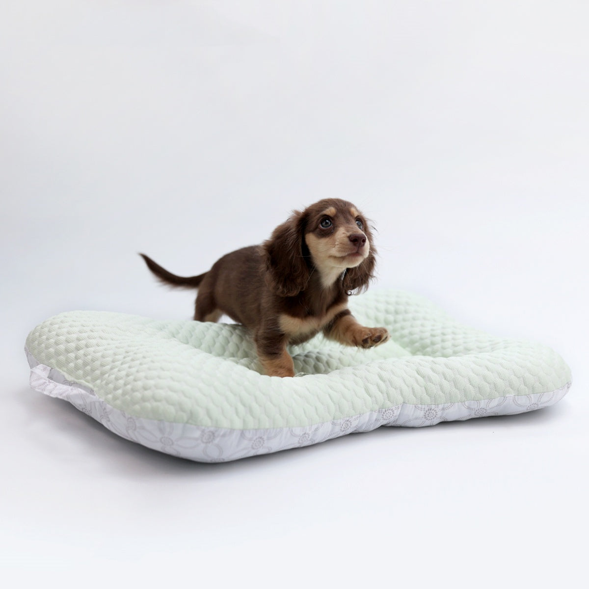 Pet Ice Mat Cooling Non-Stick And Hair-Resistant Pet Bed Mat