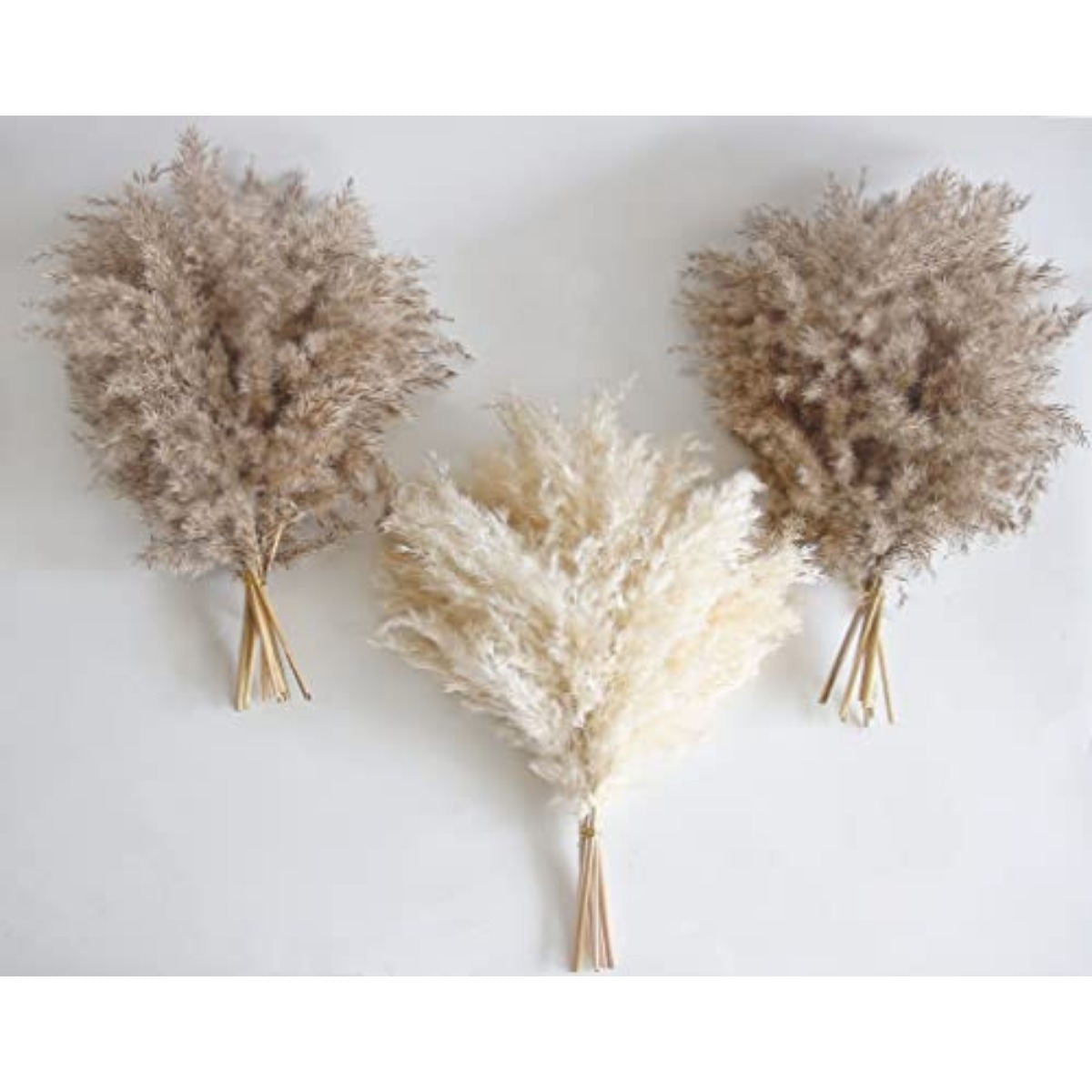 30-Piece Set Of Large Dried Reed Stems, Natural White Dried Flower Bouquet For Home Decor And Vases—Party Supplies Set