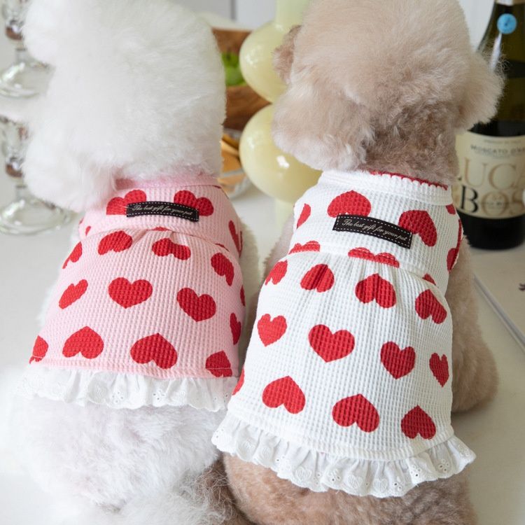 Sun-protection Cute Pet Clothes For Home