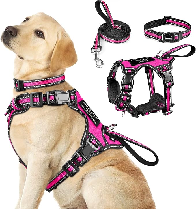 WINSEE Pet Harness Collar and Leash Set, All-in-one Reflective Dog Harness No Pull with Adjustable Buckles for Puppies, Sm...