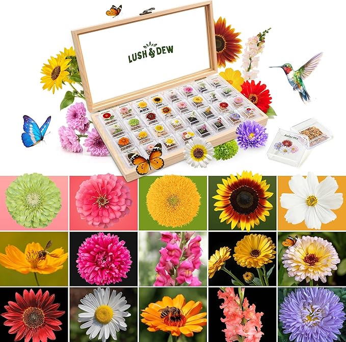 Lush&Dew Cut Flower Seed Bank, Gardening Gifts for Mom Women, 32 Varieties Non-GMO Annual & Perennial Wildflower Seeds for...