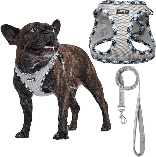 AMTOR Small Dog Harness with Leash Set, No Escape Easy Walk Puppy Harnesses for Training Walking, Step-in Reflective Soft ...