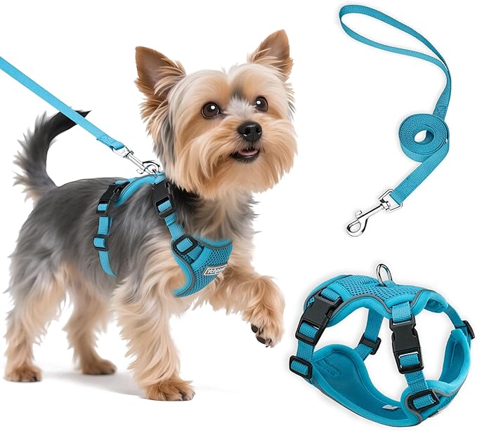 Ychpaw Small Dog Harness and Leash Set, Reflective Soft Breathable Mesh Vest, 3 Buckles, Adjustable Neck and Chest,Step in...