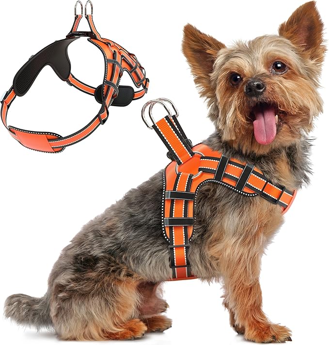 Dog Harness for Small Dogs Back D-Ring Control No Choking Pressure-Free Chest Design Comfortable Padded Adjustable Reflect...