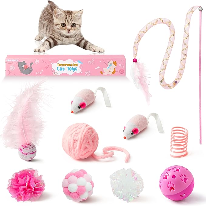 MALLMALL6 10Pcs Cat Toy Set Interactive Cat Toys Pack Including Feather Teaser Wand Cat Springs Mice Crinkle Balls and Pet...