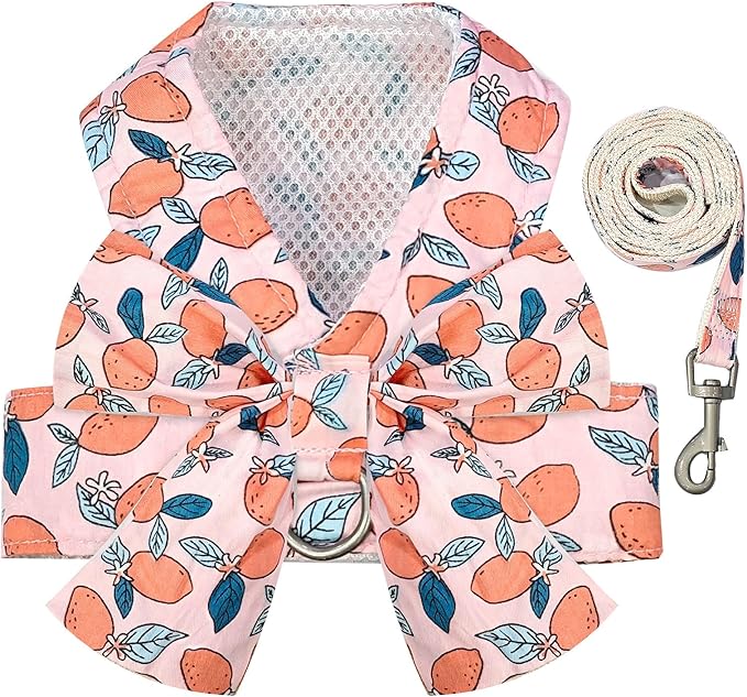 BAEJMJK Dog Harness and Leash Set with Bow Knot No Pull Pet Floral Harness with D-Ring Soft Mesh Dog Harness Vest Set Esca...