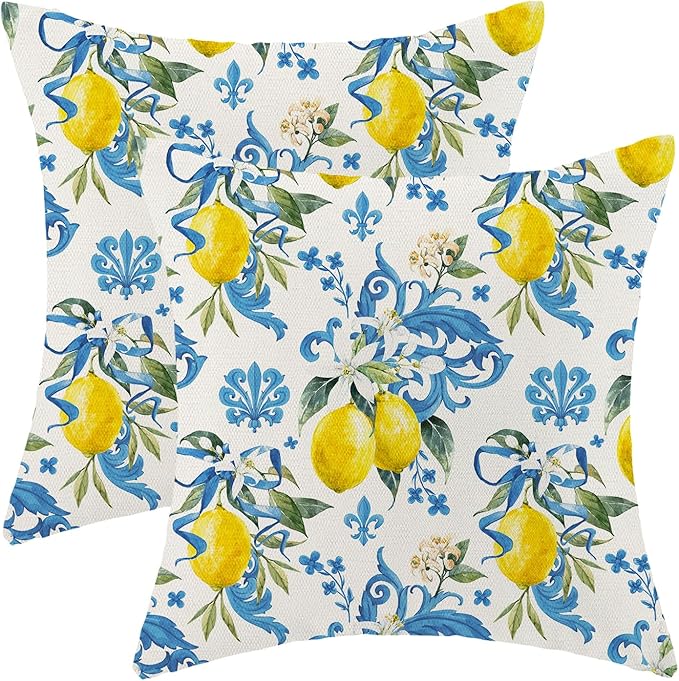 Summer Pillow Covers 18x18 Inch Set of 2 Boho Blue Yellow Lemon Floral Throw Pillows Outdoor Decorative Seasonal Spring Su...