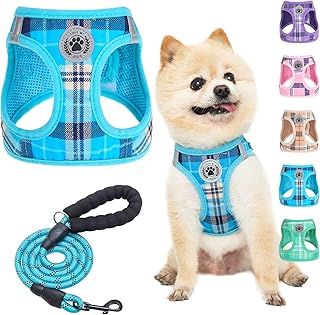BEAUTYZOO Small Dog Harness and Leash Set,Step in No Choke No Pull Soft Mesh Dog Harnesses Reflective for Extra-Small Medi...