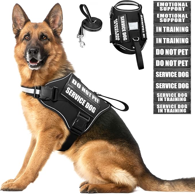 Service Dog Harness and Leash Set, Training Dog Vest with 10 Dog Patches, Emotional Support Therapy Dog Vest Harness for S...