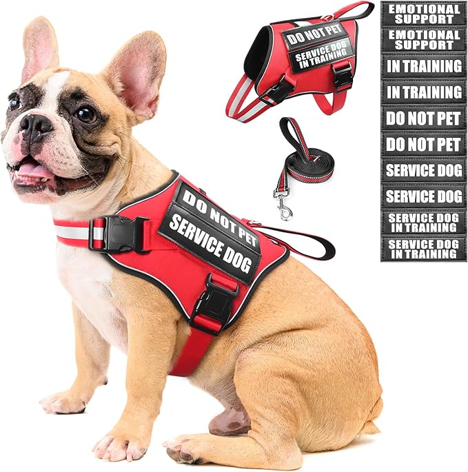 MOOGROU Service Dog Vest Harness and Leash Set+10 Patches,No Pull&Adjustable Reflective Dog Harness with Soft Padded Handl...