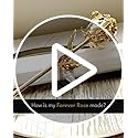 Forever Rose 24K Gold Dipped Real Rose – Handmade, Long-Lasting Preserved Flower in Glass Vase & Gold Box, Romantic Gift f...