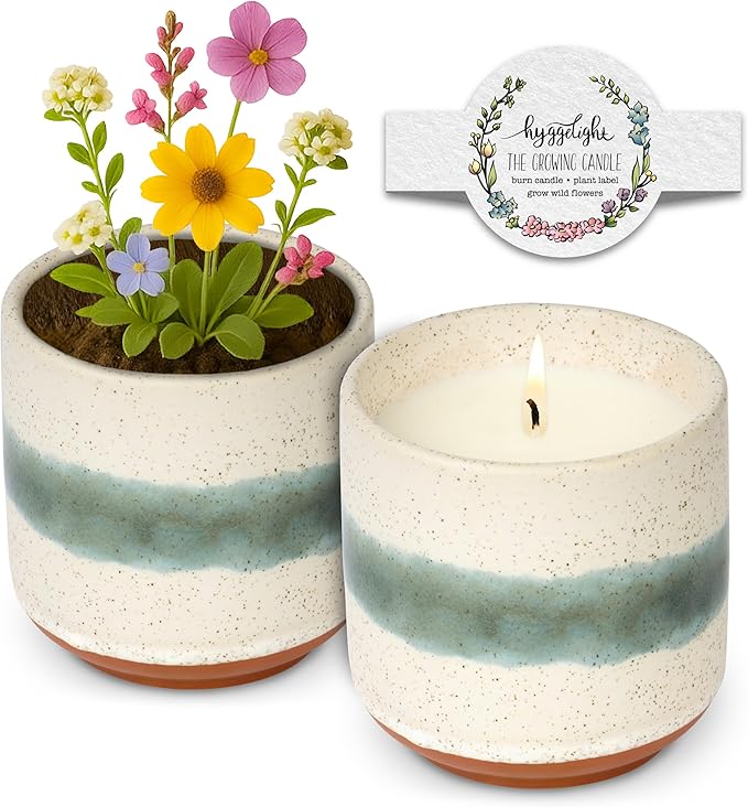 Hyggelight - The Growing Candle, Sandalwood & Vanilla Scented, 8.5oz Ceramic Pot, Aromatherapy Candles for Home, 100% Soy,...
