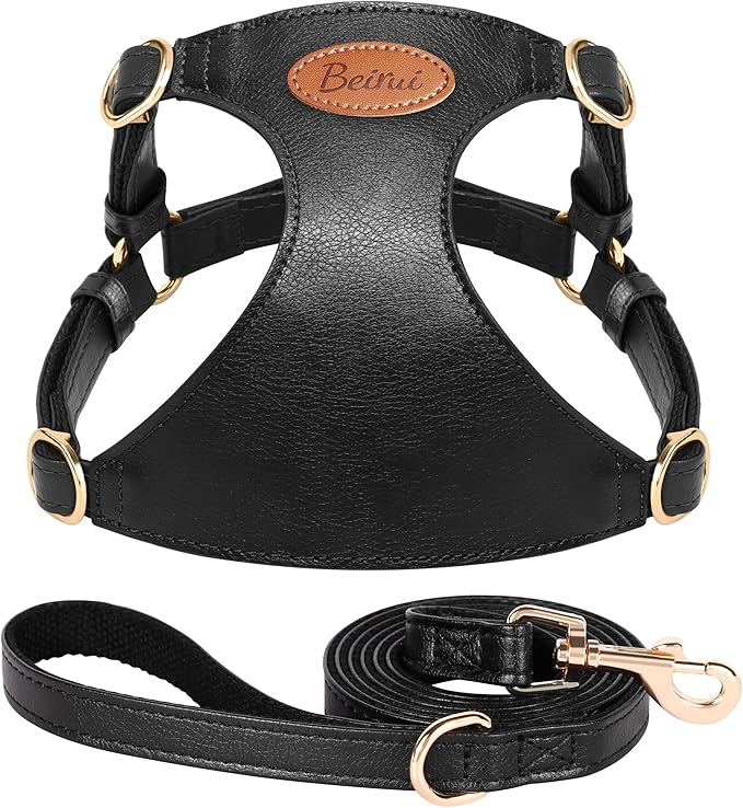 Beirui ‌Stylish PU Leather Dog Harness‌ and Leash Set for Small Dogs, ‌Adjustable Step in Puppy Harness with Breathable Me...