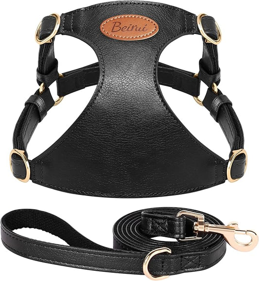 Beirui ‌Stylish PU Leather Dog Harness‌ and Leash Set for Small Dogs, ‌Adjustable Step in Puppy Harness with Breathable Me...