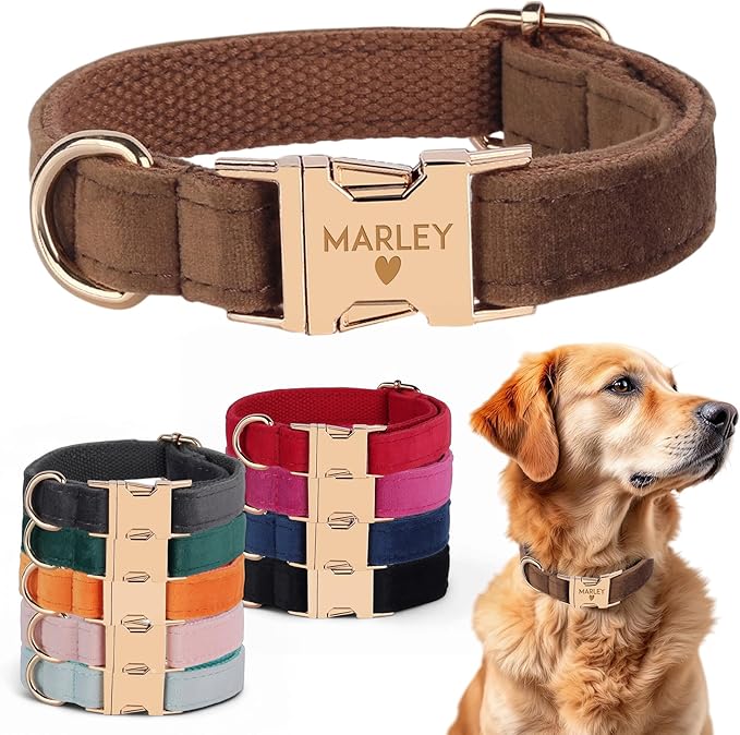 Velvet Harness Set, Gift for Pet Owners, Custom Dog Collar Personalized Name and Phone Number, Custom Collar and Leash for...