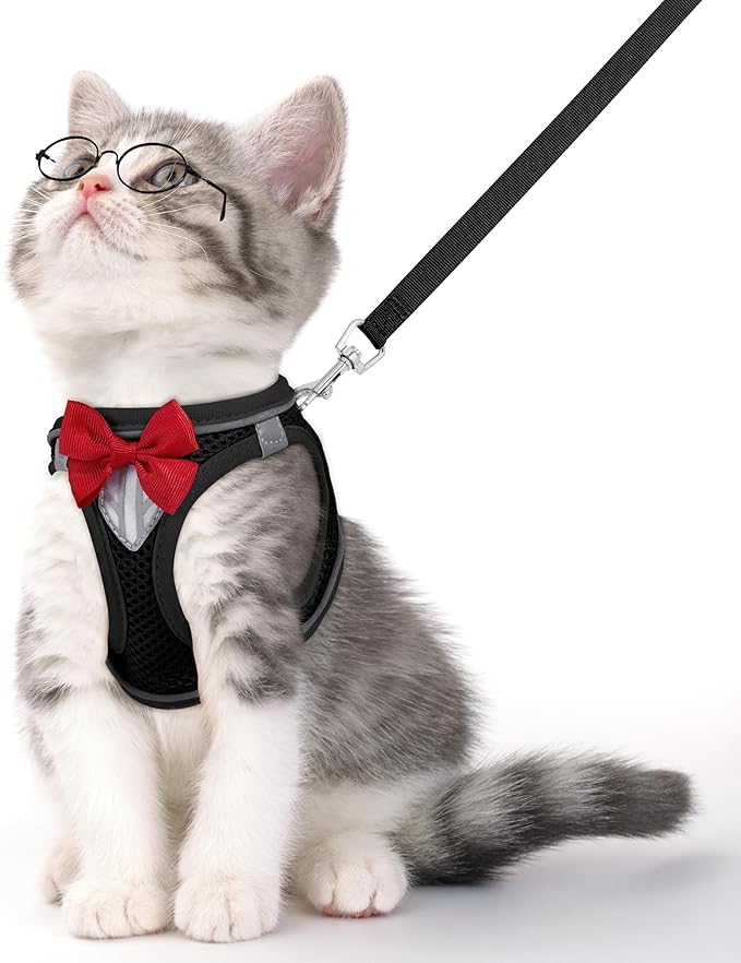 Cat Vest Harness and Leash Set for Walking Escape Proof, Adjustable Kitten Harness Breathable Mesh with Reflective Strips ...